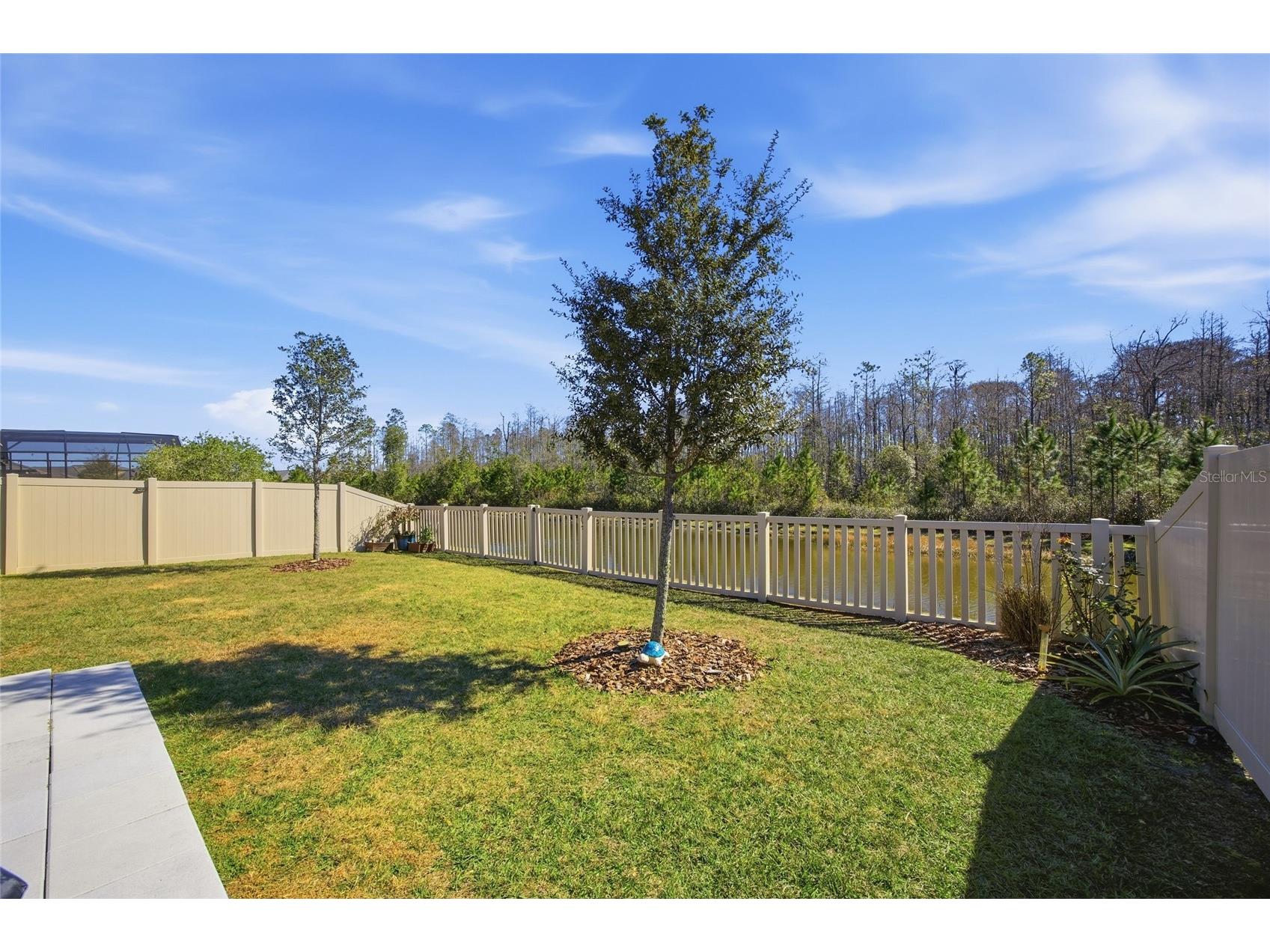 16816 Shell Bay Drive Land O Lakes FL 34638 TB8472233 image28