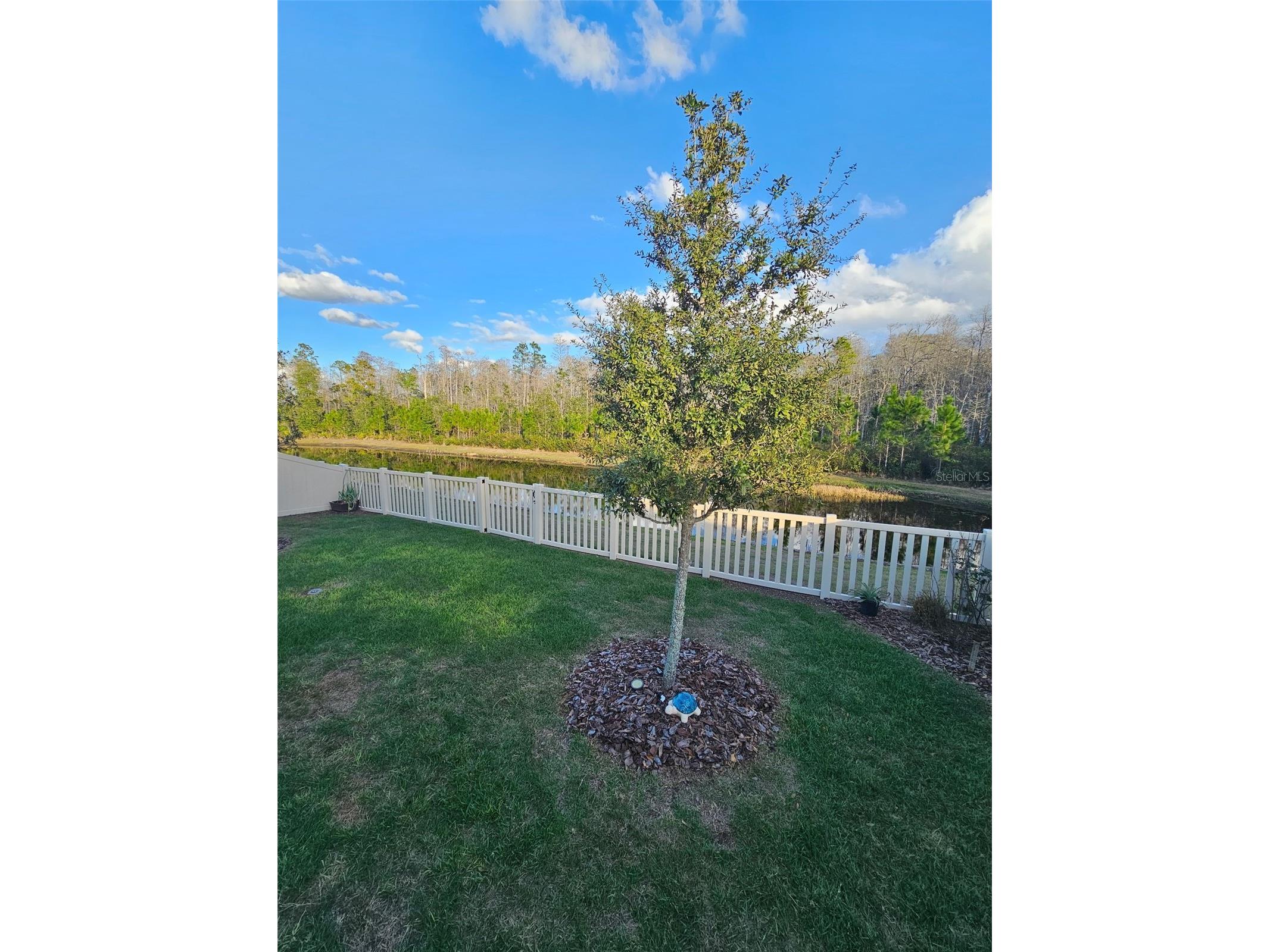 16816 Shell Bay Drive Land O Lakes FL 34638 TB8472233 image29