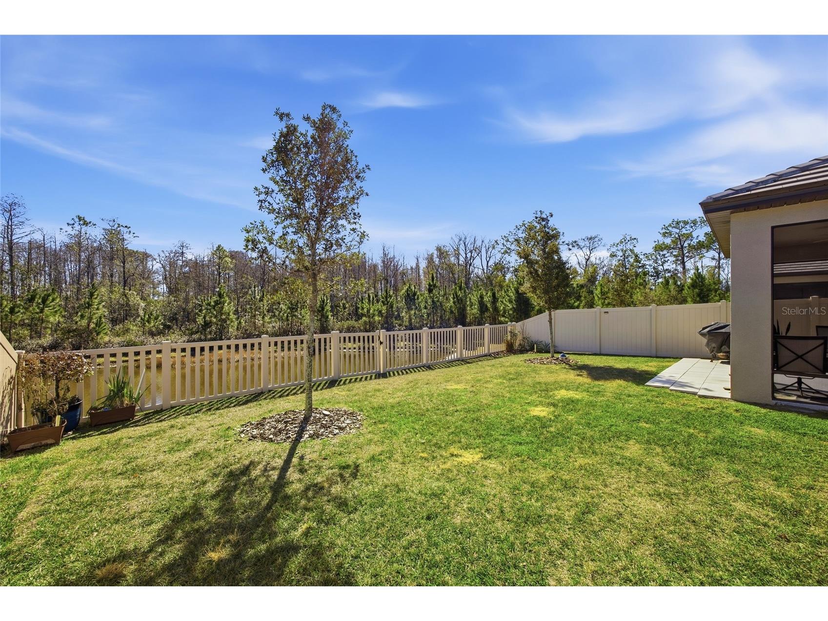 16816 Shell Bay Drive Land O Lakes FL 34638 TB8472233 image3