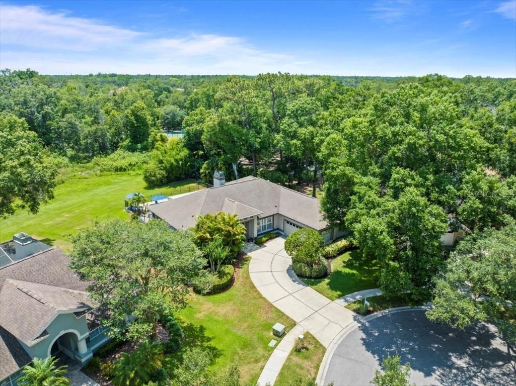 16816 Windsor Park Drive Lutz FL 33549 - WATER T3531722 image1