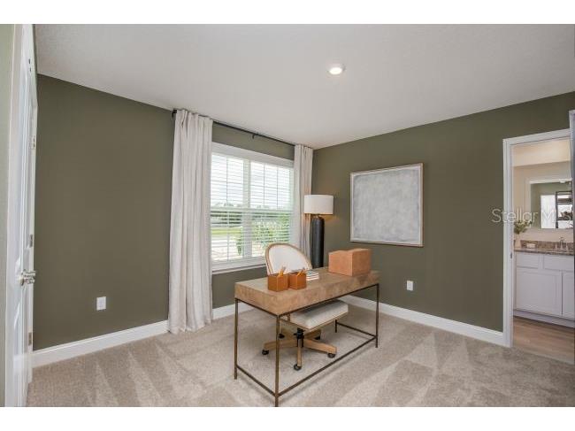 16817 NW 176th Way Alachua FL 32615 O6372573 image11