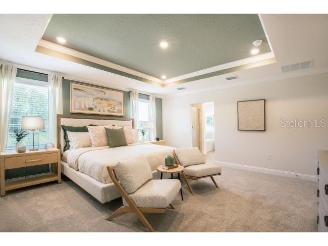 16817 NW 176th Way Alachua FL 32615 O6372573 image13