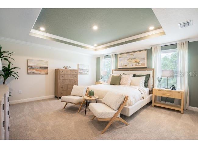 16817 NW 176th Way Alachua FL 32615 O6372573 image14