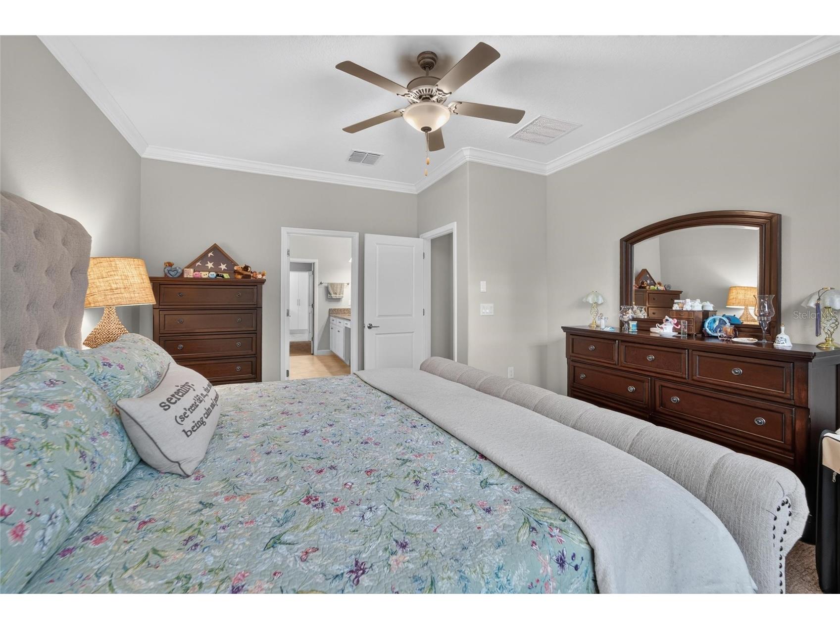 16817 Whisper Elm Street Wimauma FL 33598 TB8530888 image29