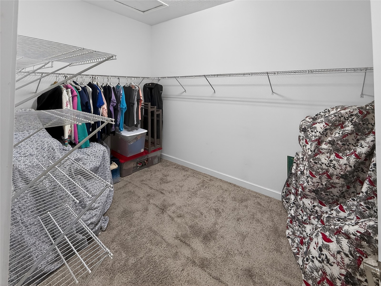 16818 Scuba Crest Street Wimauma FL 33598 TB8493804 image20