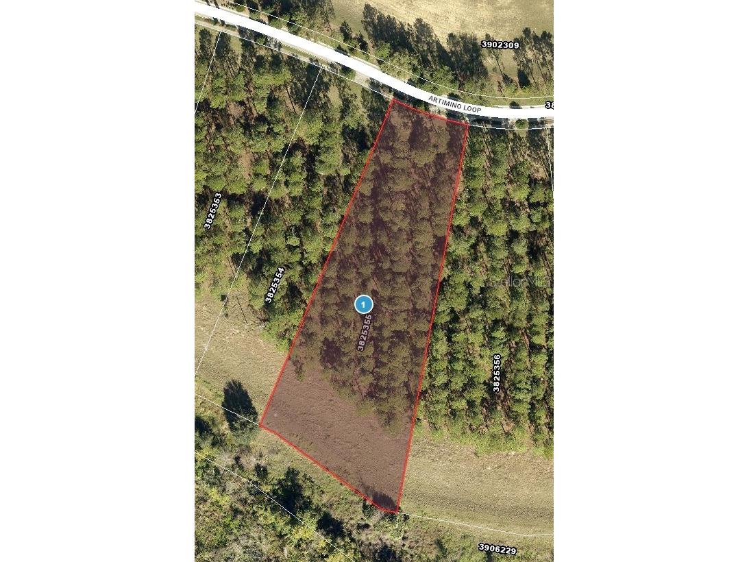 16822 Artimino Loop Montverde FL 34756 - LAKE APOPKA G5108014 image4