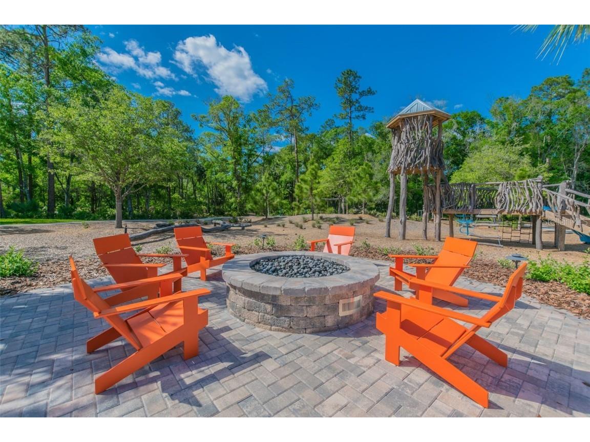 16822 Balance Cove Land O Lakes FL 34638 TB8366354 image100
