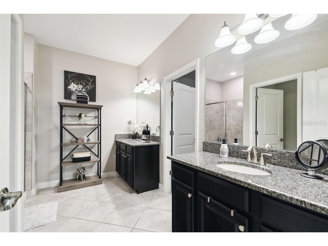 16822 Balance Cove Land O Lakes FL 34638 TB8366354 image16