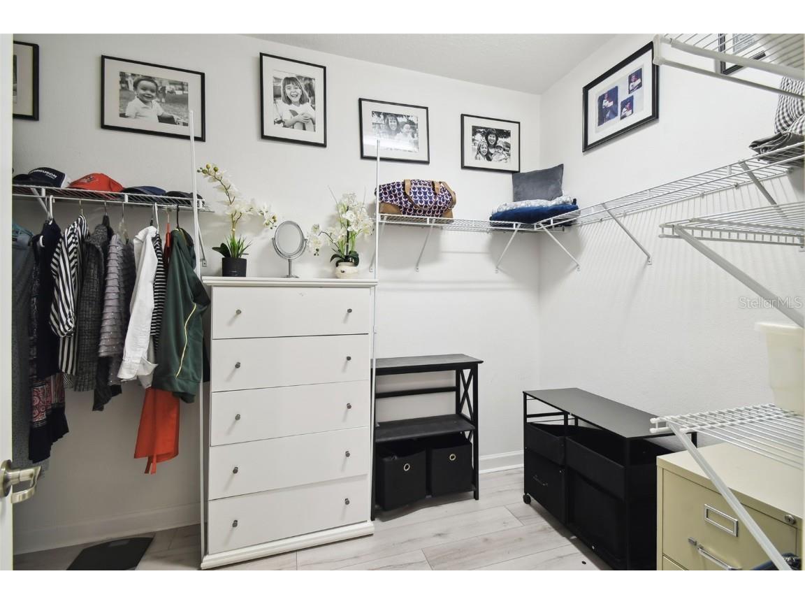 16822 Balance Cove Land O Lakes FL 34638 TB8366354 image17