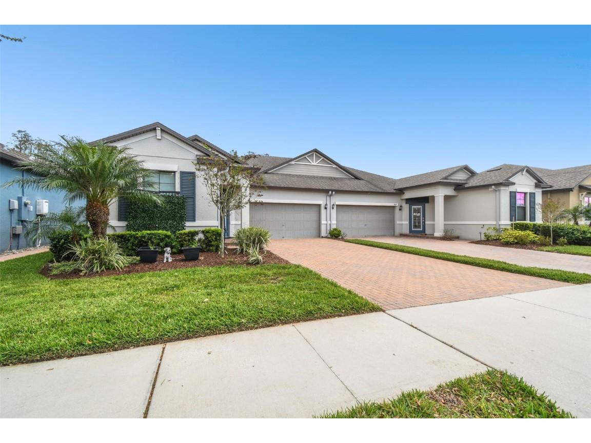16822 Balance Cove Land O Lakes FL 34638 TB8366354 image2