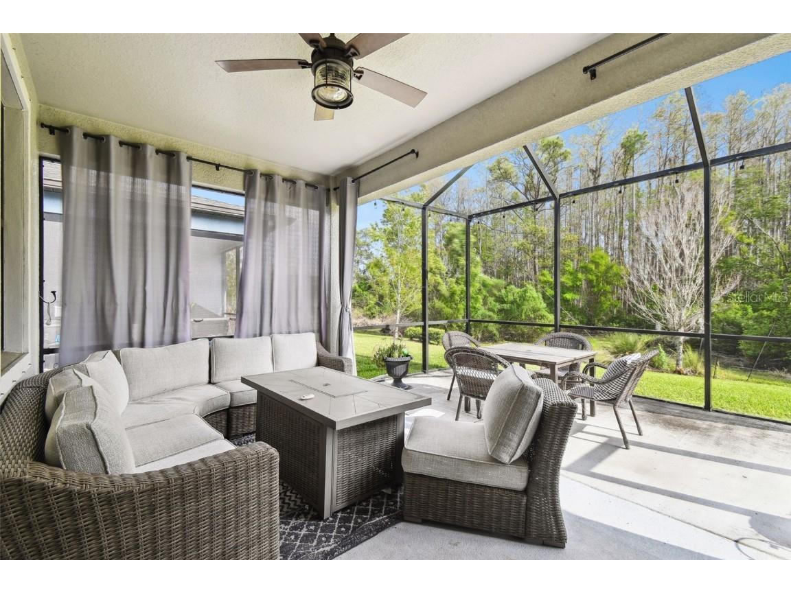 16822 Balance Cove Land O Lakes FL 34638 TB8366354 image34