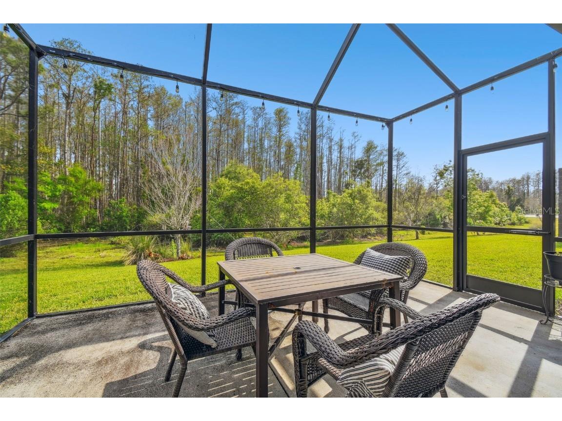 16822 Balance Cove Land O Lakes FL 34638 TB8366354 image37