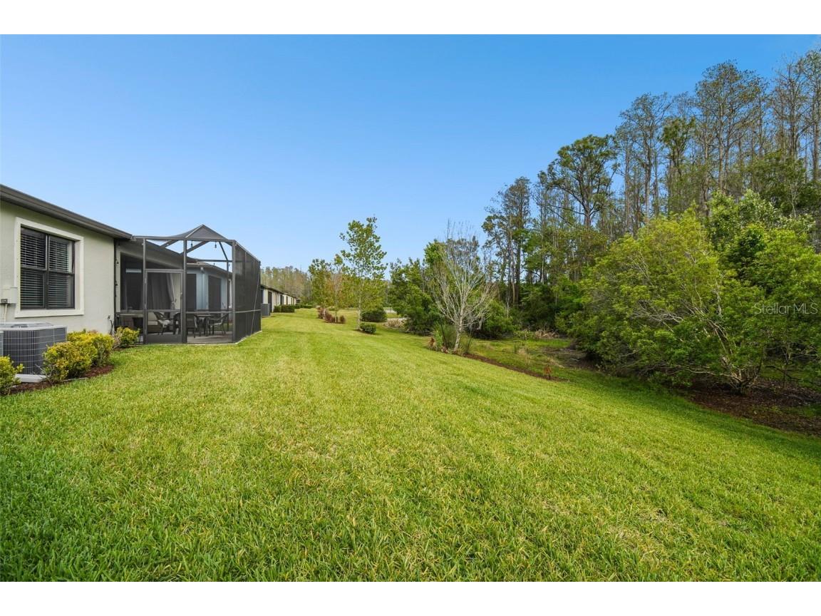 16822 Balance Cove Land O Lakes FL 34638 TB8366354 image38