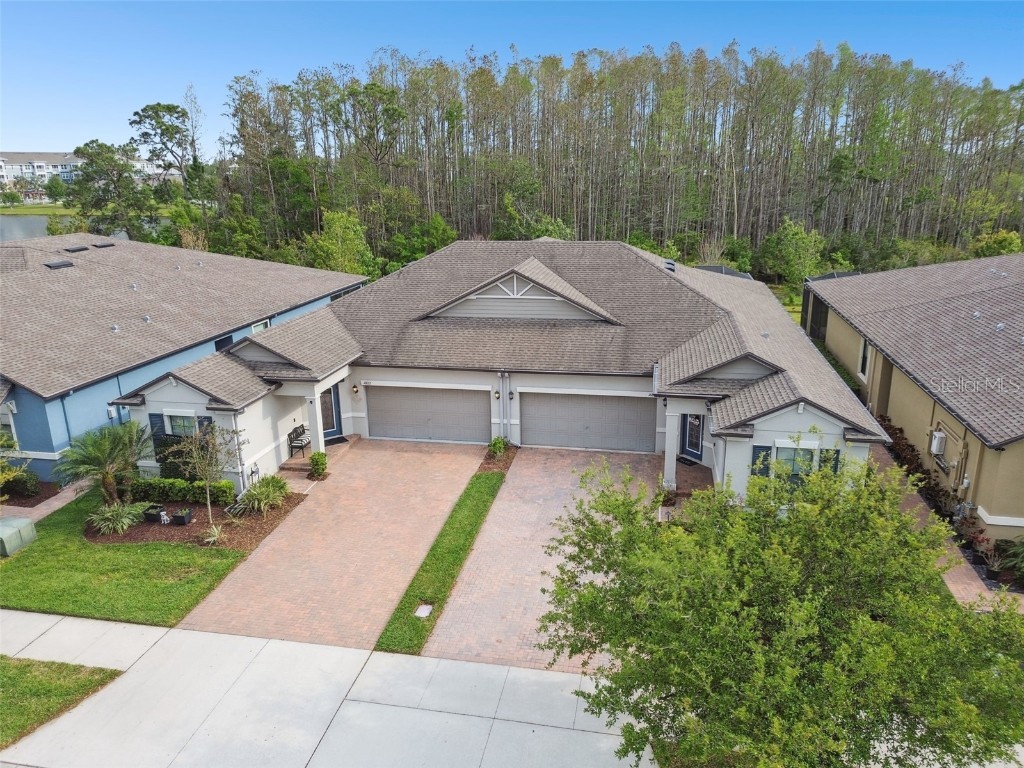 16822 Balance Cove Land O Lakes FL 34638 TB8366354 image42