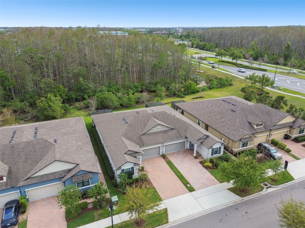 16822 Balance Cove Land O Lakes FL 34638 TB8366354 image45