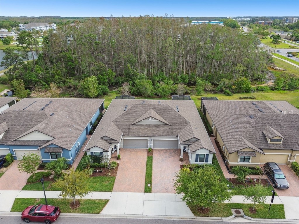 16822 Balance Cove Land O Lakes FL 34638 TB8366354 image46