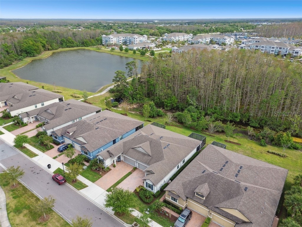16822 Balance Cove Land O Lakes FL 34638 TB8366354 image48