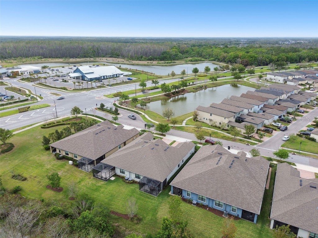 16822 Balance Cove Land O Lakes FL 34638 TB8366354 image51