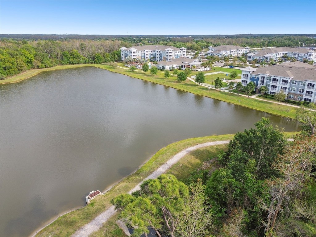 16822 Balance Cove Land O Lakes FL 34638 TB8366354 image52