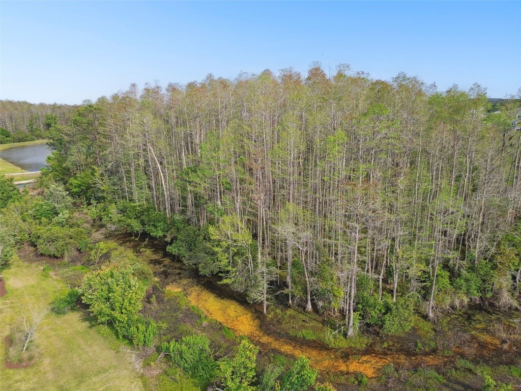 16822 Balance Cove Land O Lakes FL 34638 TB8366354 image55