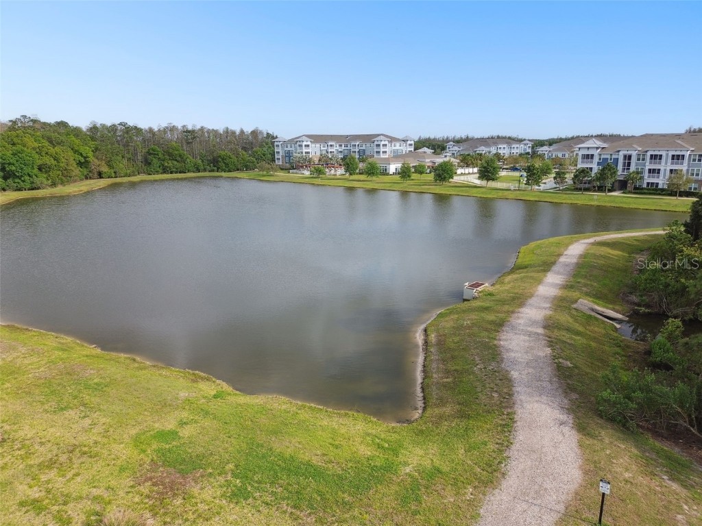 16822 Balance Cove Land O Lakes FL 34638 TB8366354 image56