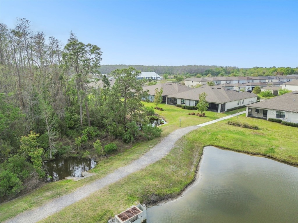 16822 Balance Cove Land O Lakes FL 34638 TB8366354 image57