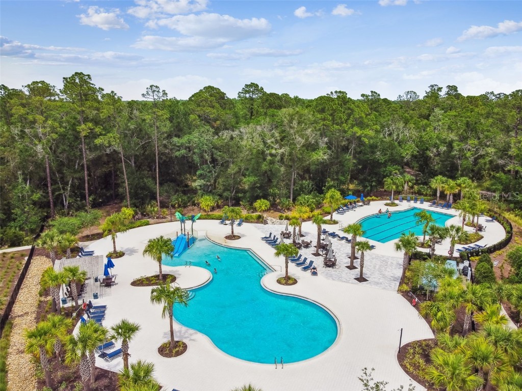 16822 Balance Cove Land O Lakes FL 34638 TB8366354 image79