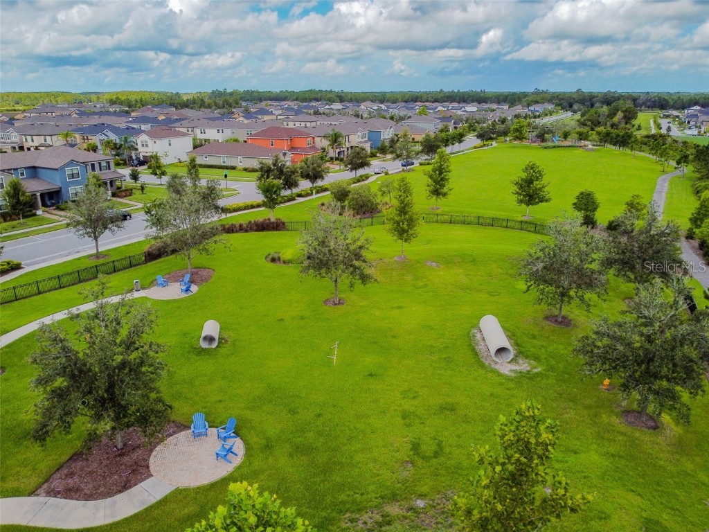 16822 Balance Cove Land O Lakes FL 34638 TB8366354 image93