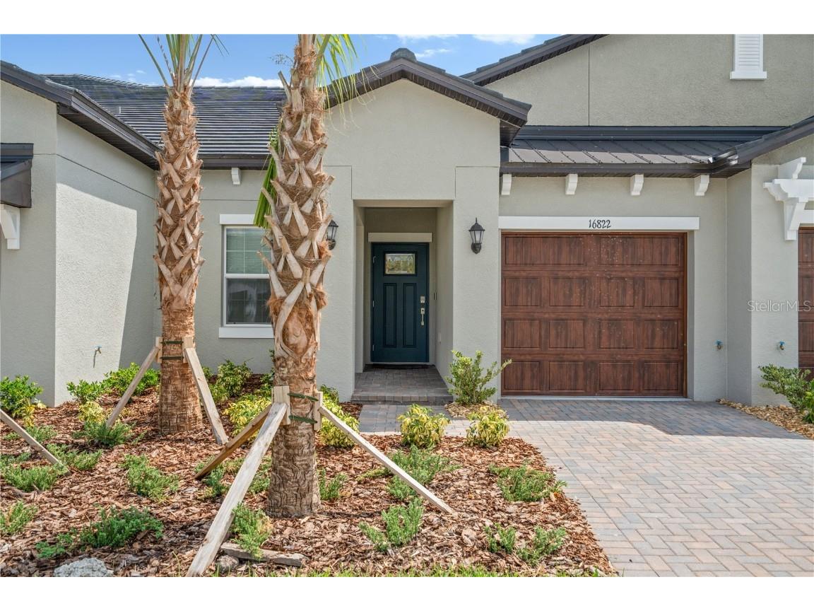 16822 Forge Surf Street Land O Lakes FL 34638 U8213686 image1