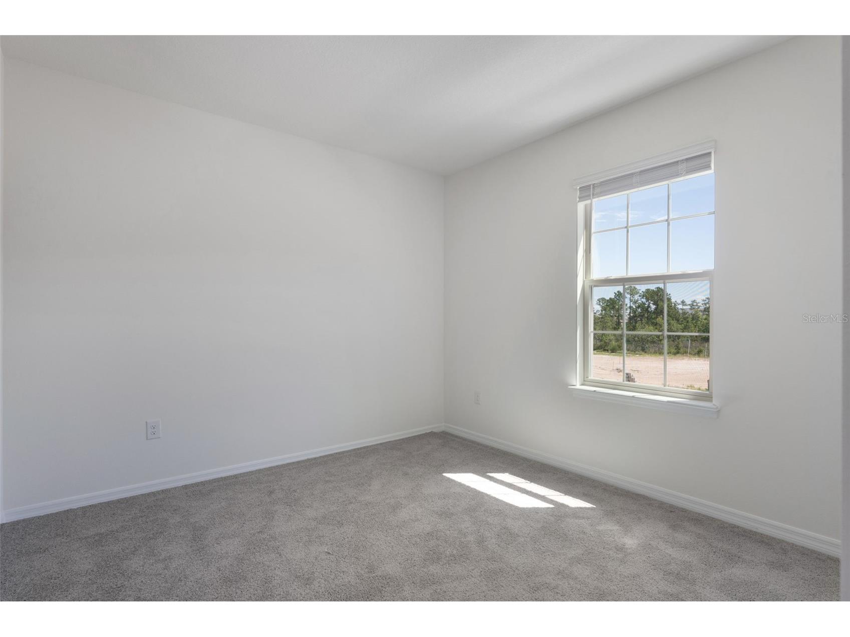 16822 Hobe Sound Court Winter Garden FL 34787 O6423720 image13