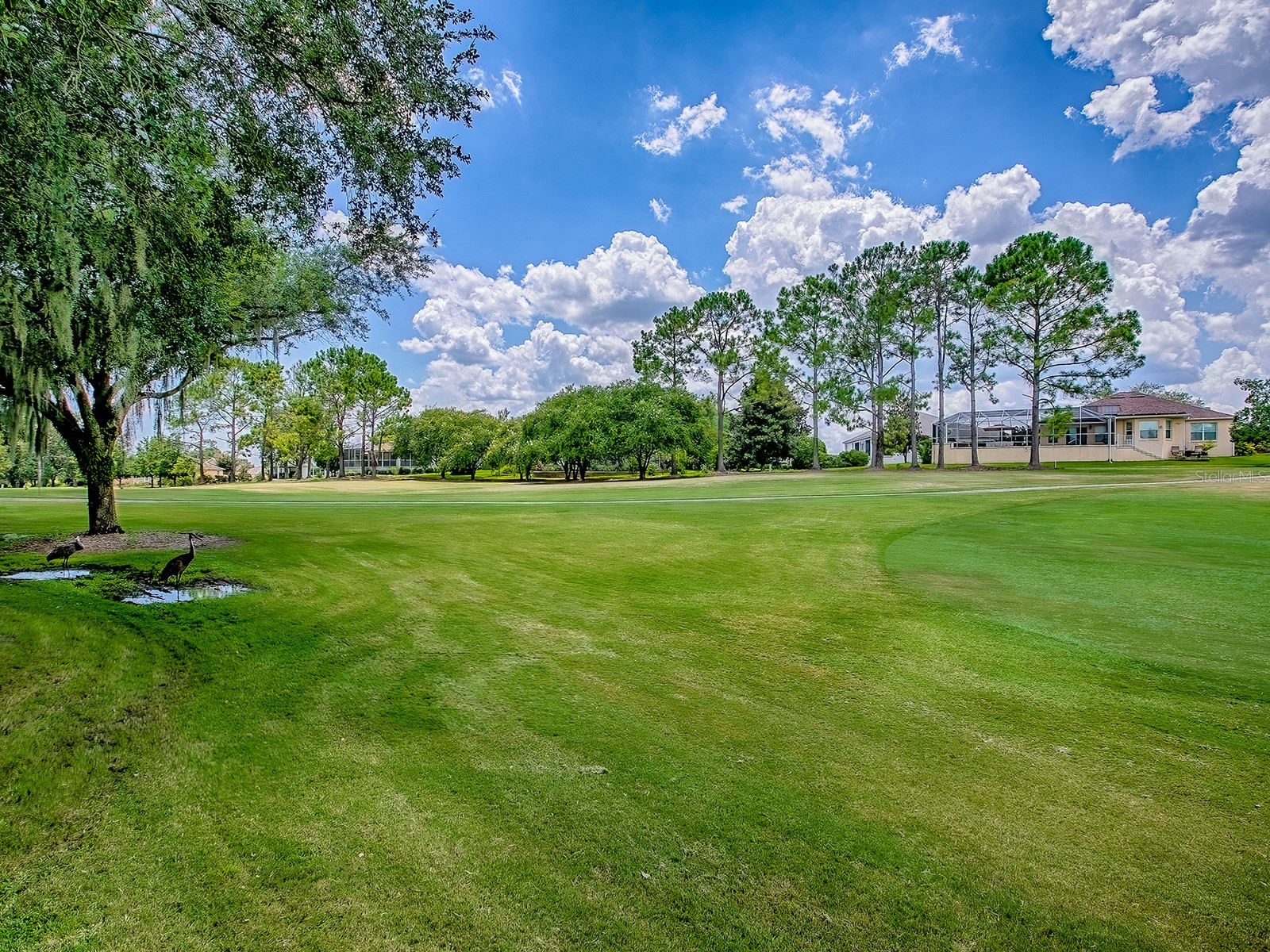 16822 SE 80th Bellavista Circle The Villages FL 32162 G5100420 image43