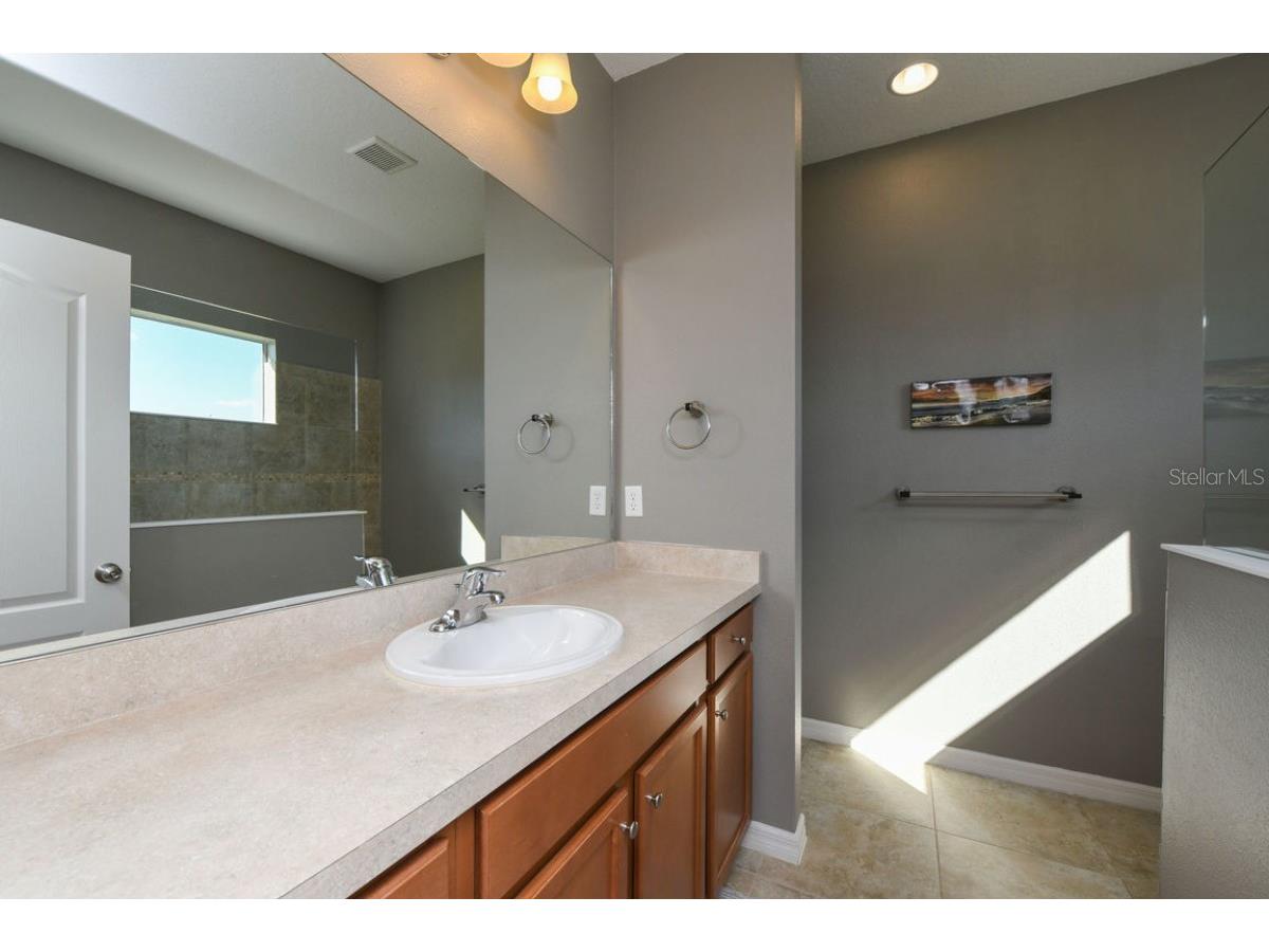 16823 Destrehen Court Parrish FL 34219 A4692885 image12