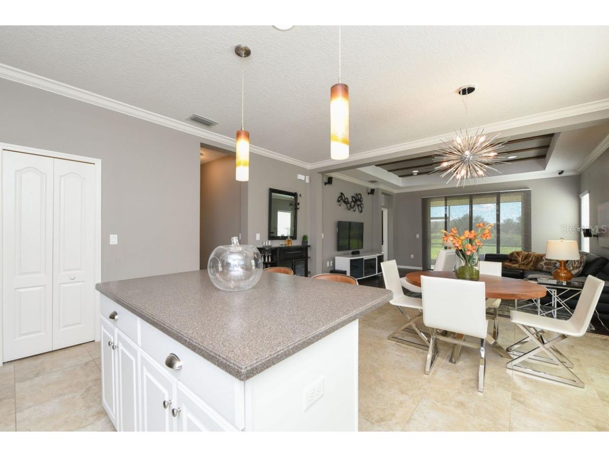 16823 Destrehen Court Parrish FL 34219 A4692885 image6