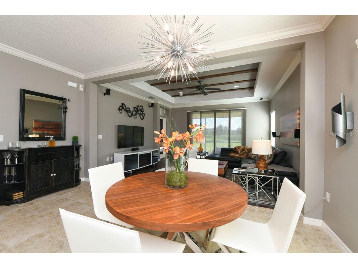 16823 Destrehen Court Parrish FL 34219 A4692885 image7