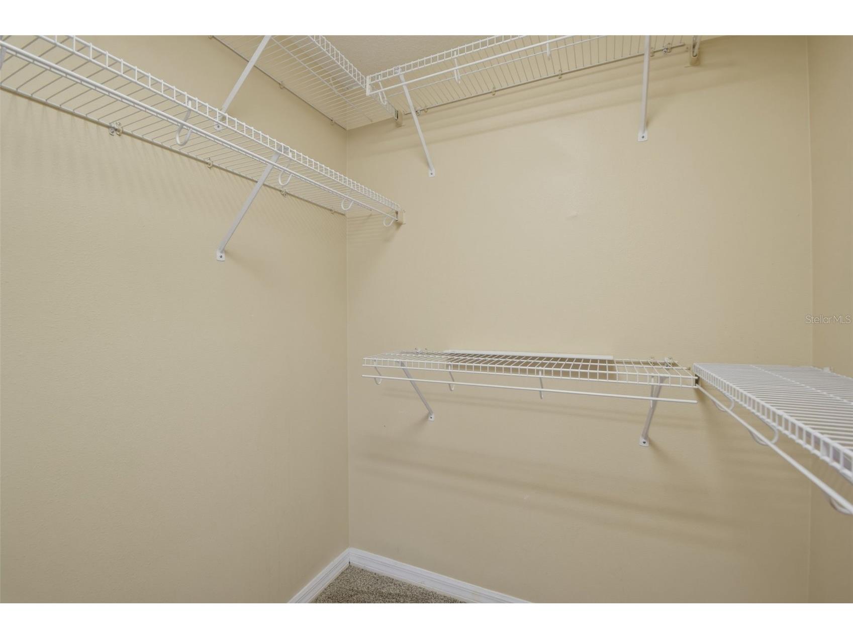 16825 Harrierridge Place Lithia FL 33547 O6399729 image36