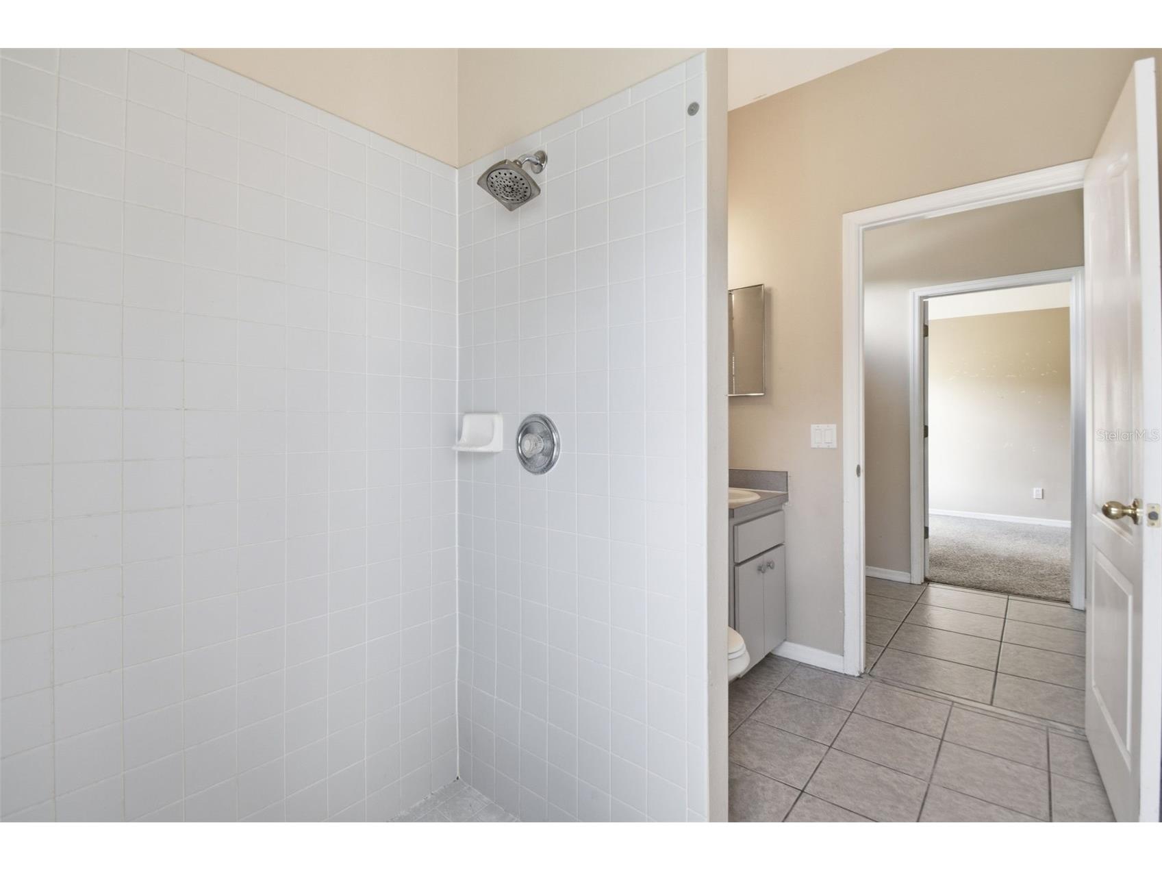 16825 Harrierridge Place Lithia FL 33547 O6399729 image44