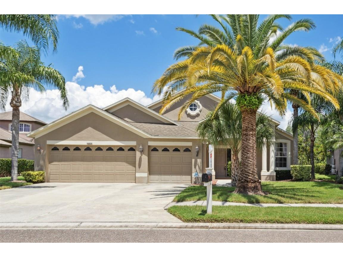 16825 Nikki Lane Odessa FL 33556 T3460346 image1