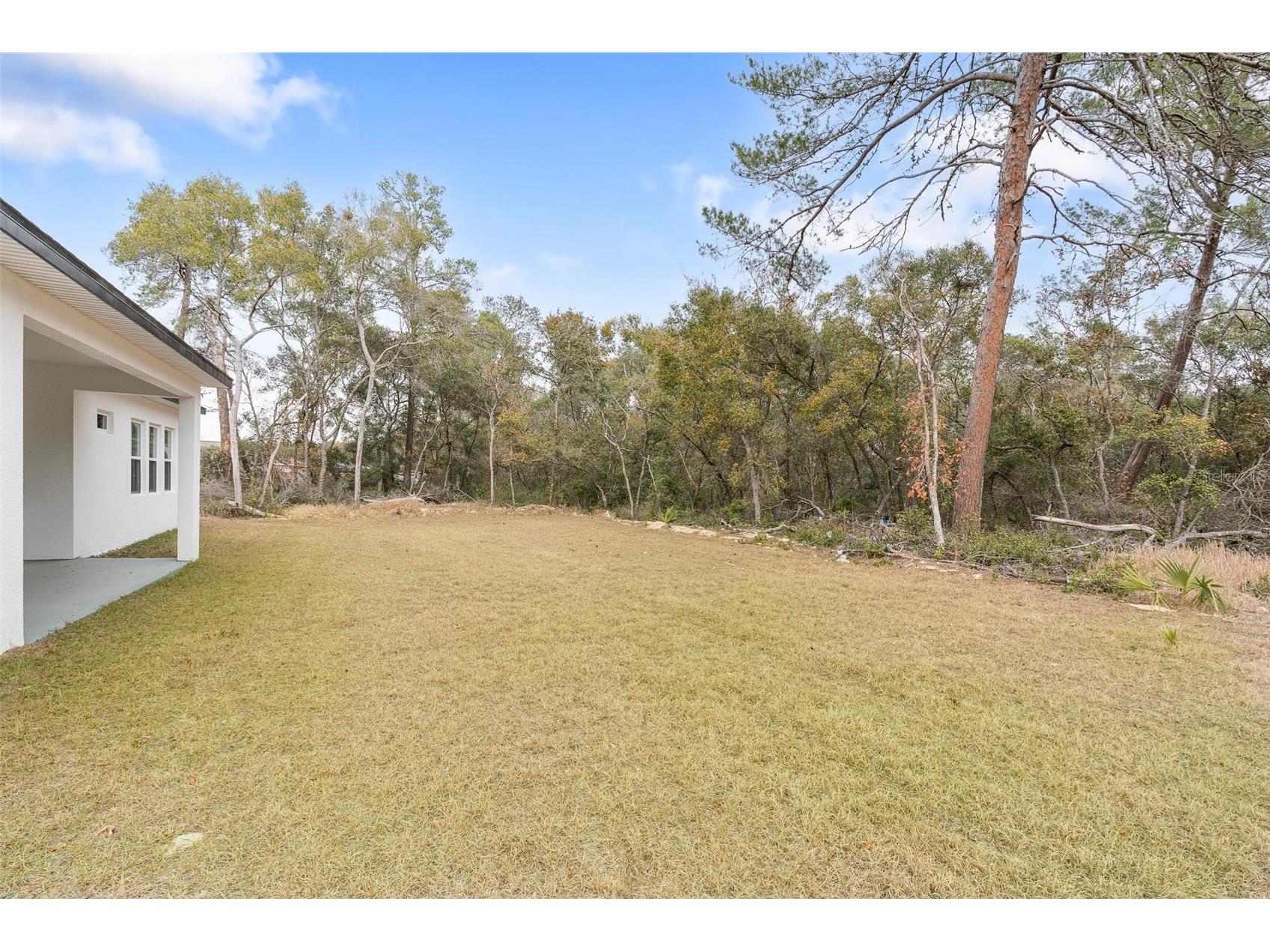 16825 SW 39th Circle Ocala FL 34473 O6384601 image35