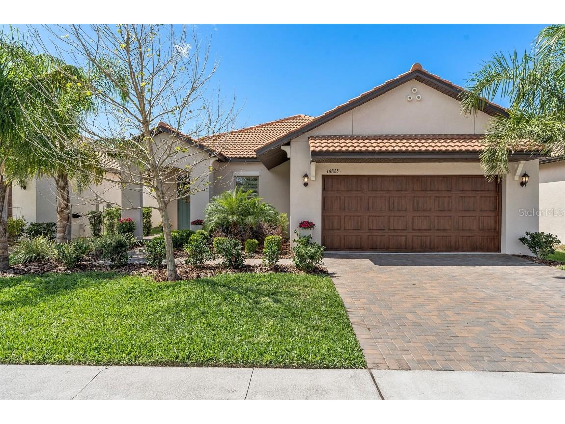 16825 Whisper Elm Street Wimauma FL 33598 T3433705 image1