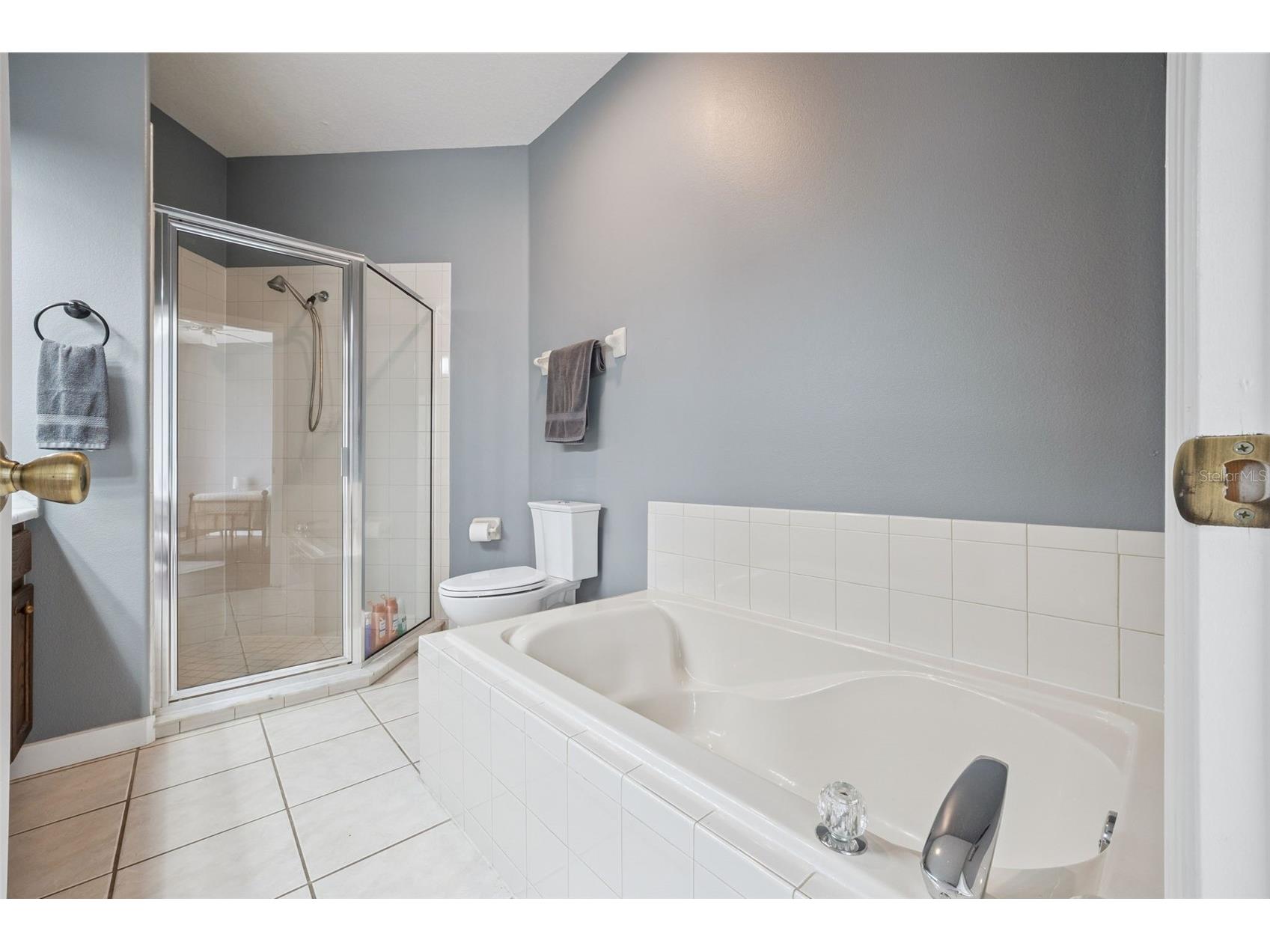 16826 Glenbrook Boulevard Clermont FL 34714 G5113928 image15