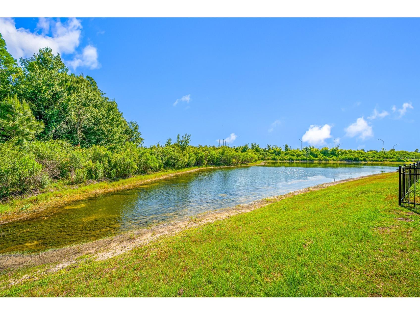 16826 Secret Meadow Drive Odessa FL 33556 TB8503347 image54