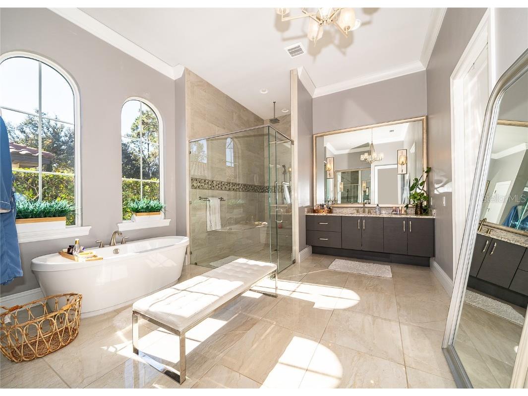 16828 Vinci Way Montverde FL 34756 O6361783 image39