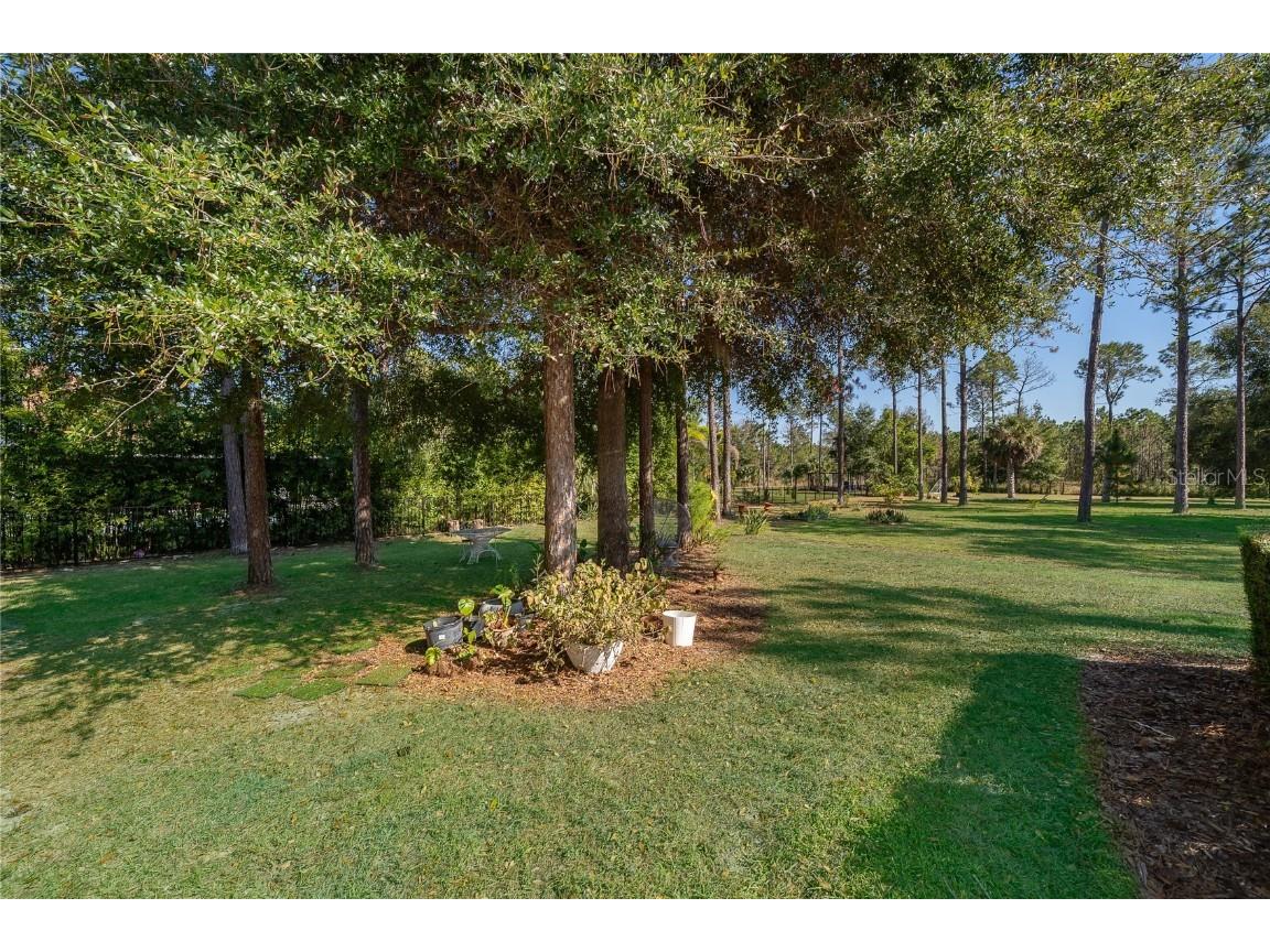 16828 Vinci Way Montverde FL 34756 O6361783 image57