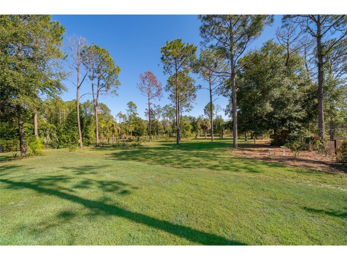 16828 Vinci Way Montverde FL 34756 O6361783 image58