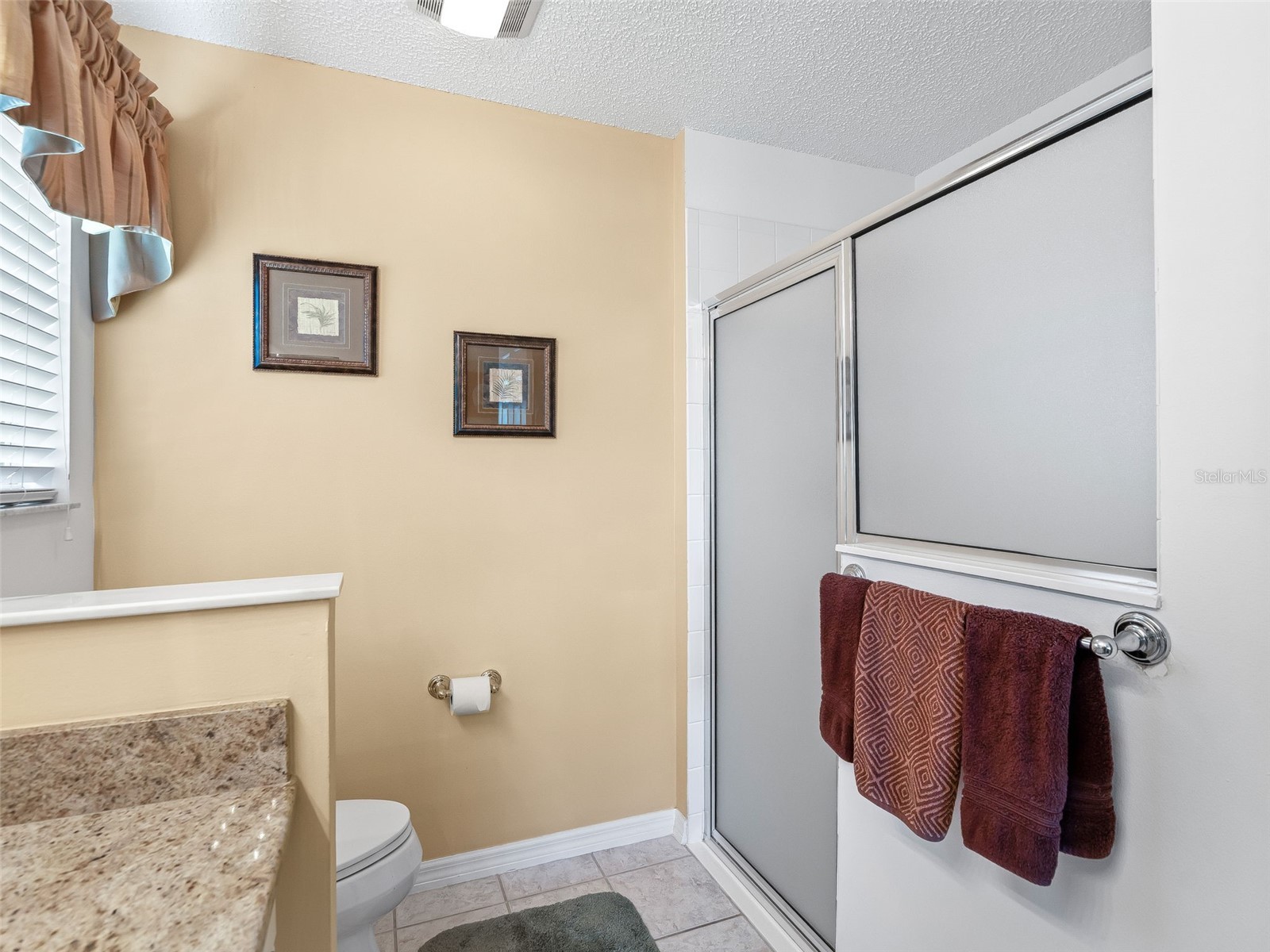 16829 SE 84th Colerain Circle The Villages FL 32162 OM723668 image24