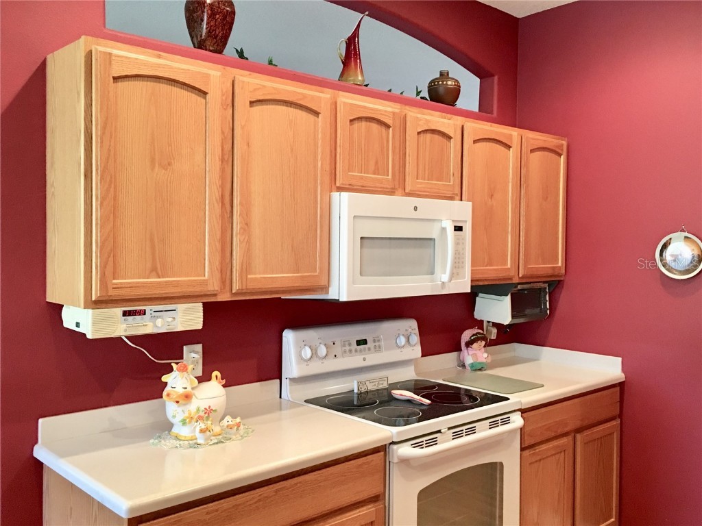 1683 SW 156th Lane Ocala FL 34473 OM712279 image17