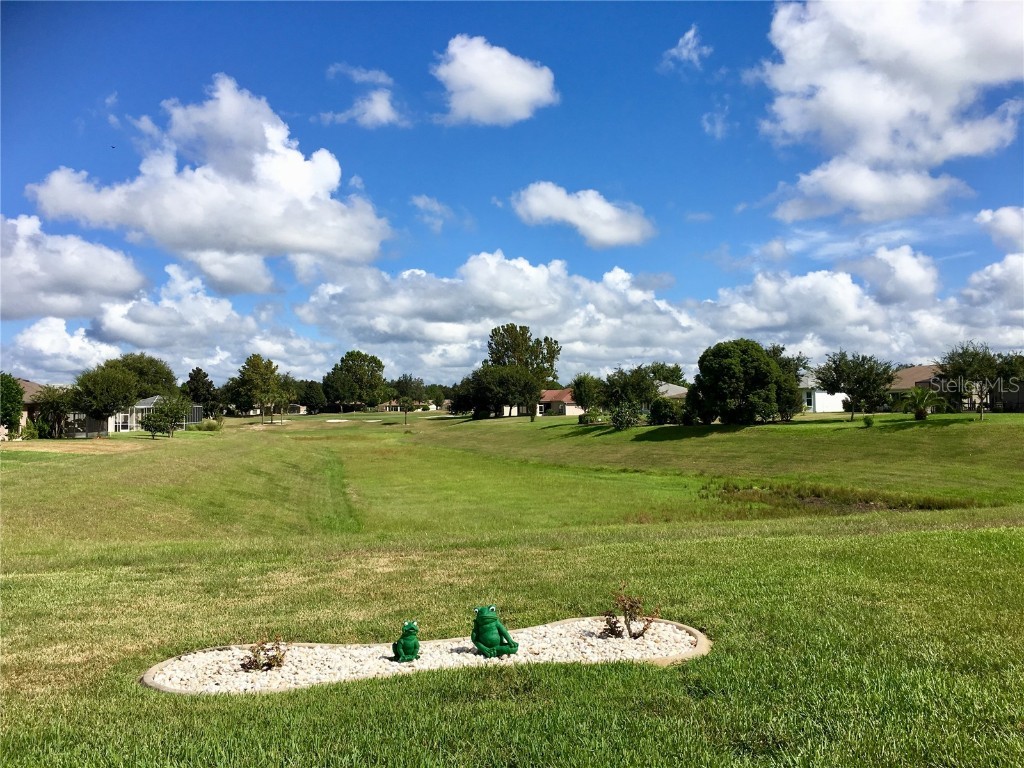 1683 SW 156th Lane Ocala FL 34473 OM712279 image37