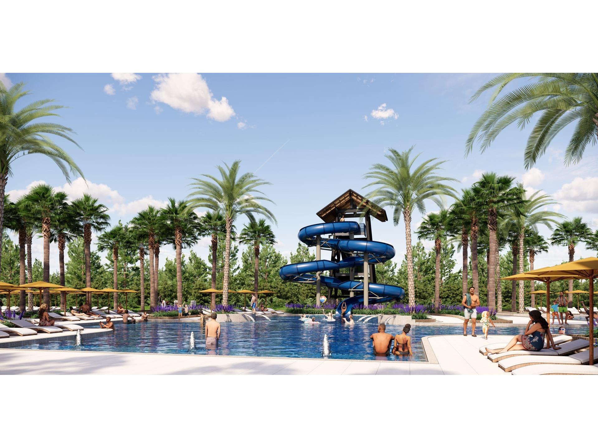 1683 Valier Point Zephyrhills FL 33541 TB8404990 image21