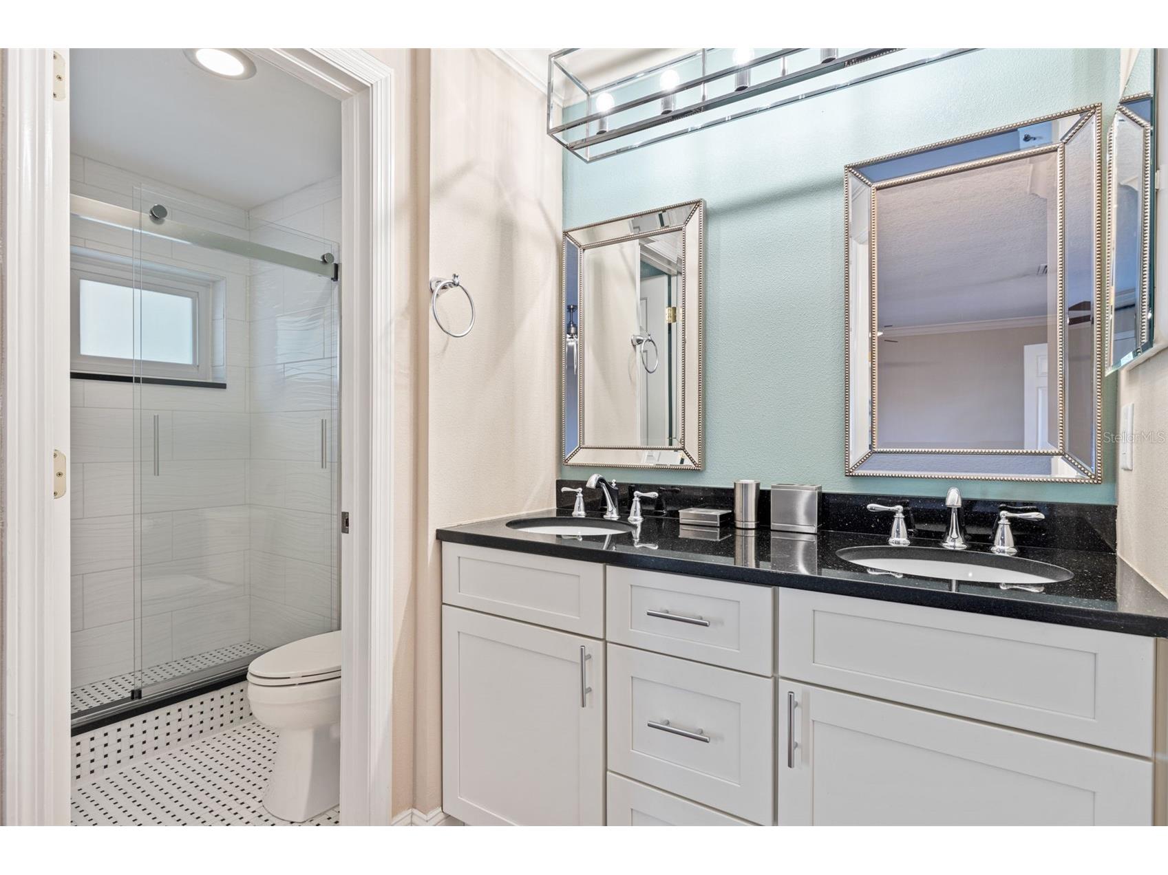 1683 Watermark Circle NE Saint Petersburg FL 33702 - TANGLEWOOD CHANNEL TB8472984 image24