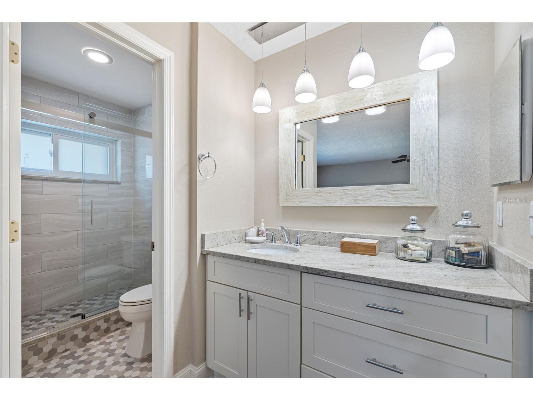 1683 Watermark Circle NE Saint Petersburg FL 33702 - TANGLEWOOD CHANNEL TB8472984 image32